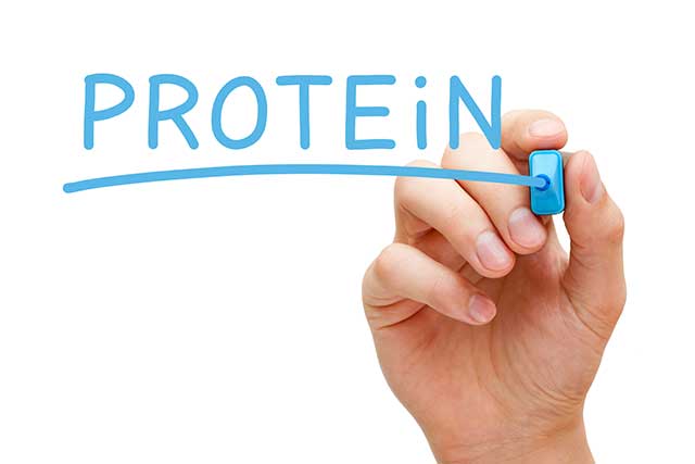 The Word 'Protein' Hand-Written With a Blue Marker Pen.