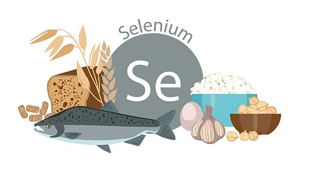 Ricotta Cheese and Several Other Foods Rich In Selenium.