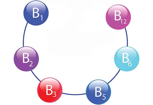 The Water Soluble Vitamins: Vitamin B1, B2, B3, B5, B6, and B12.