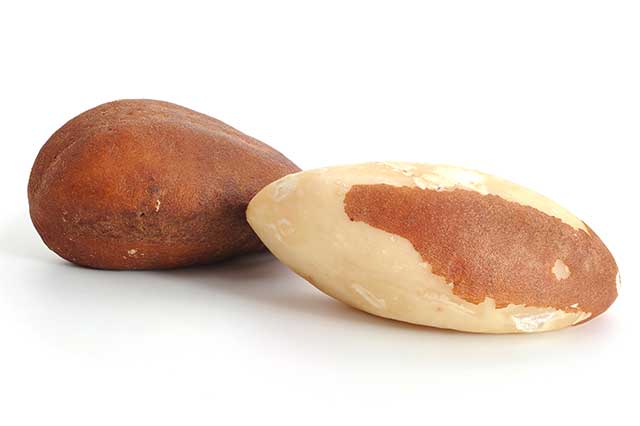 Brazil Nuts - One With Skin Versus One Without.