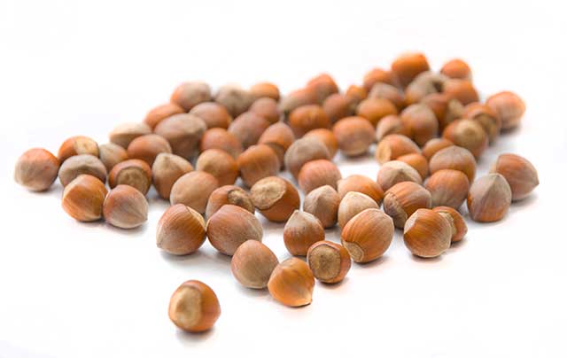 Hazelnuts In Their Skin On a White Background.