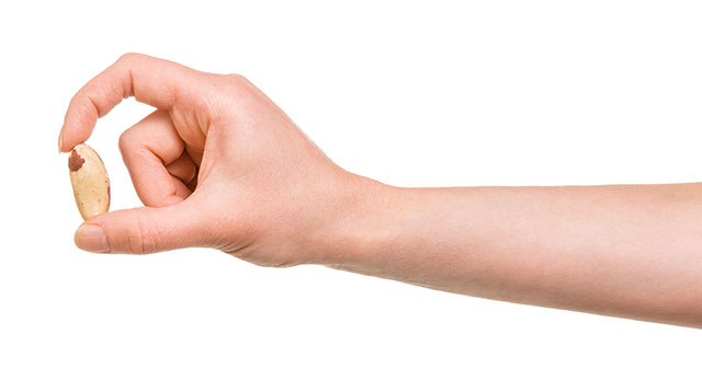 Woman's Hand Holding One Single Brazil Nut.