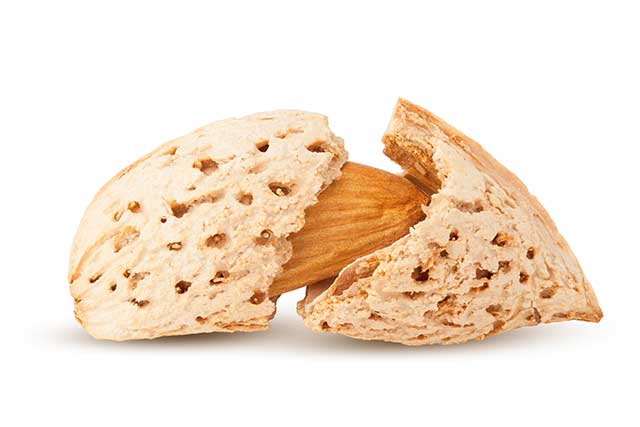 Almond Nut Still In Its Shell.