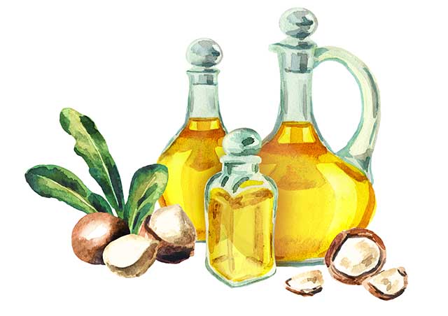 Hand Drawn Glass Bottles of Macadamia Nut Oil.