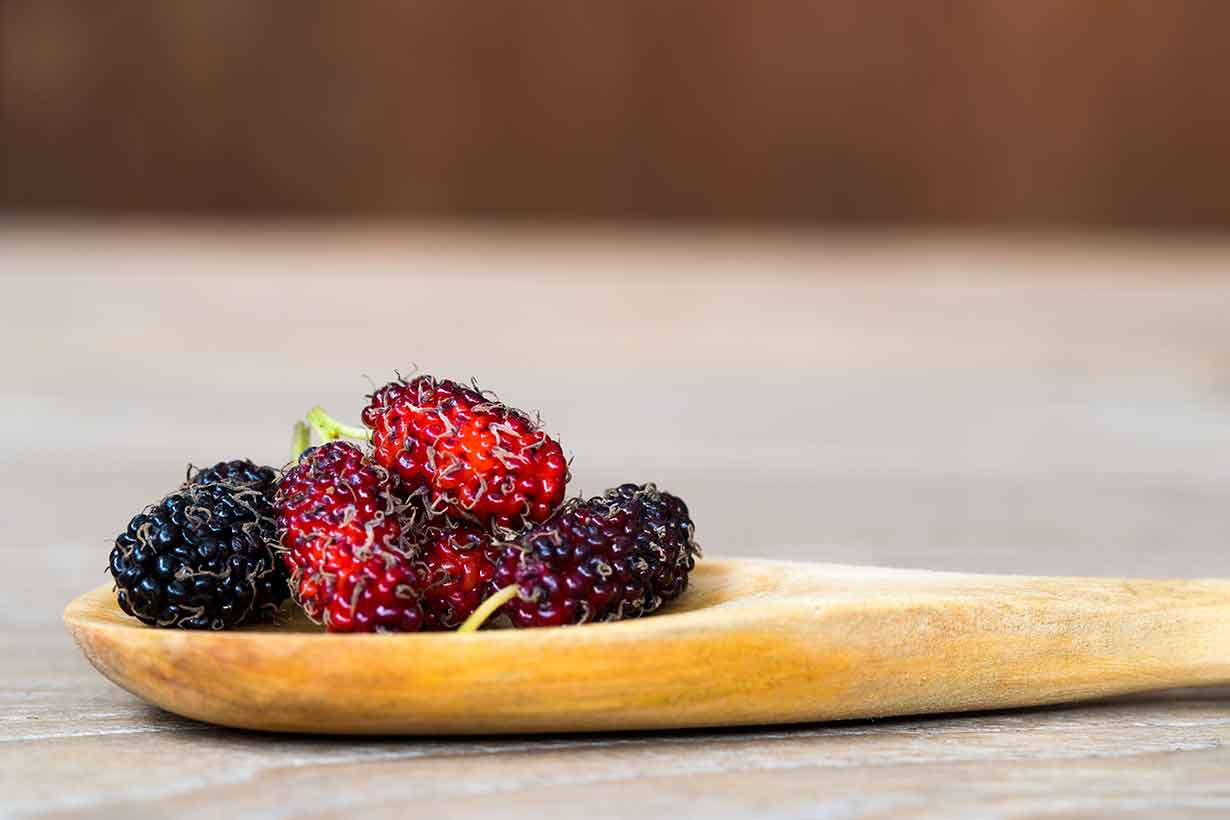 Mulberry Fruit Nutrition Facts And Health Benefits Nutrition Advance Mulberry Fruit Nutrition Facts And Health Benefits Nutrition Advance
