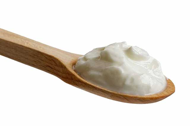 Skyr Icelandic Yogurt On a Spoon.