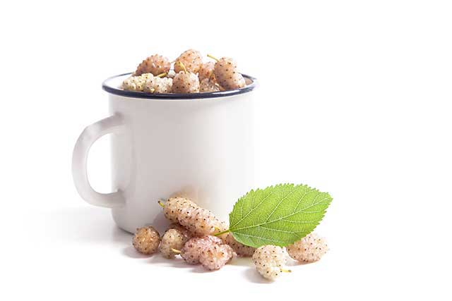 White Mulberries In a White Cup.