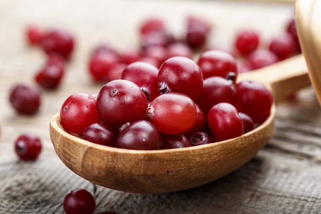 Pile of Fresh Cranberries In a Wooden Dish.