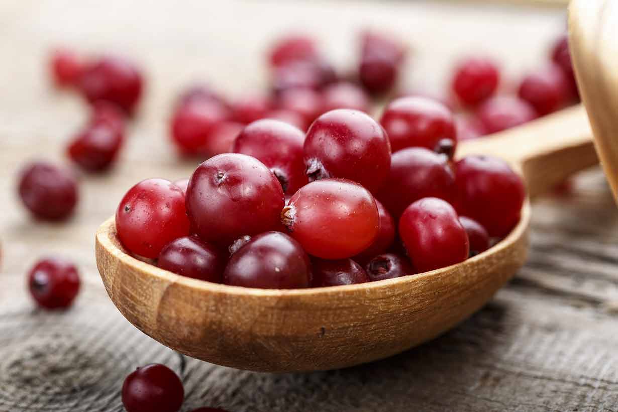 Cranberry Fruit Nutrition Facts Benefits And Concerns Cranberry Fruit Nutrition Facts Benefits And Concerns
