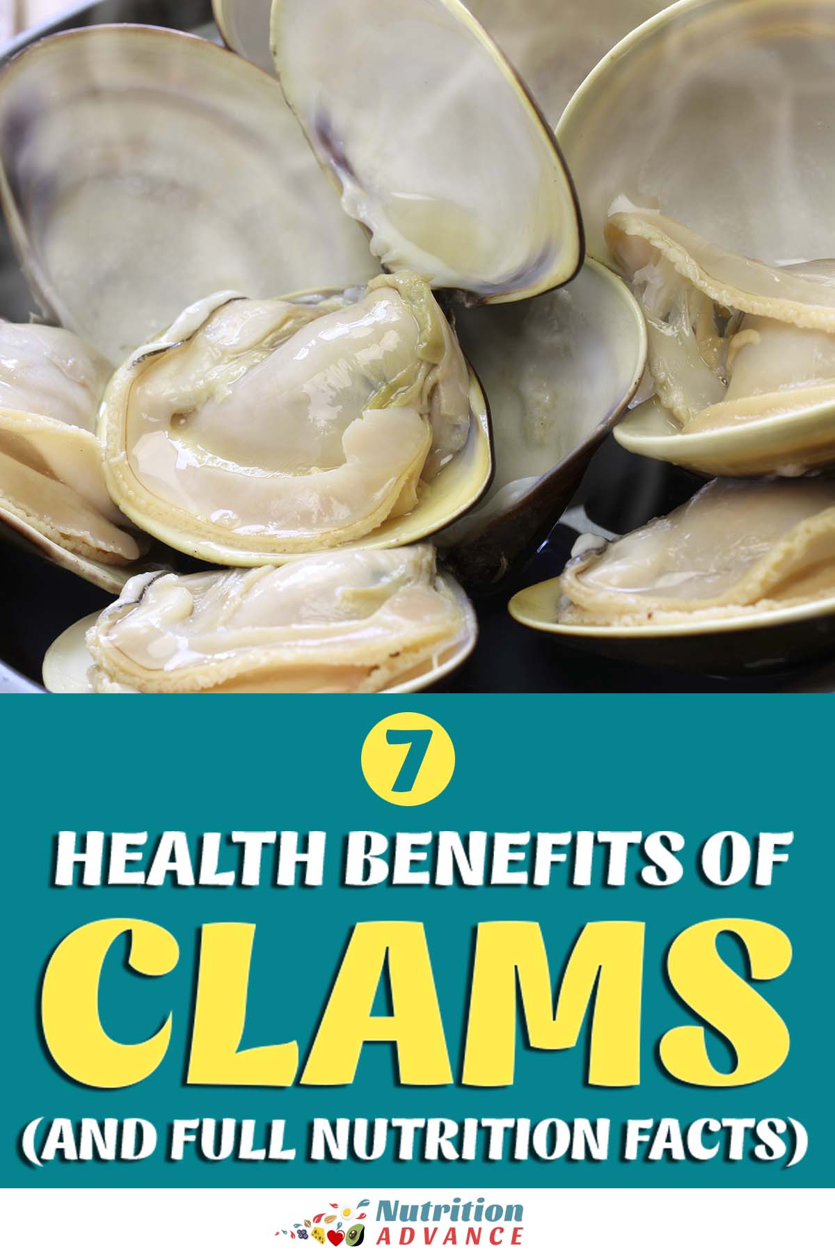 7 Benefits Of Clams and Full Nutrition Facts Nutrition Advance 7 Benefits Of Clams and Full Nutrition Facts Nutrition Advance