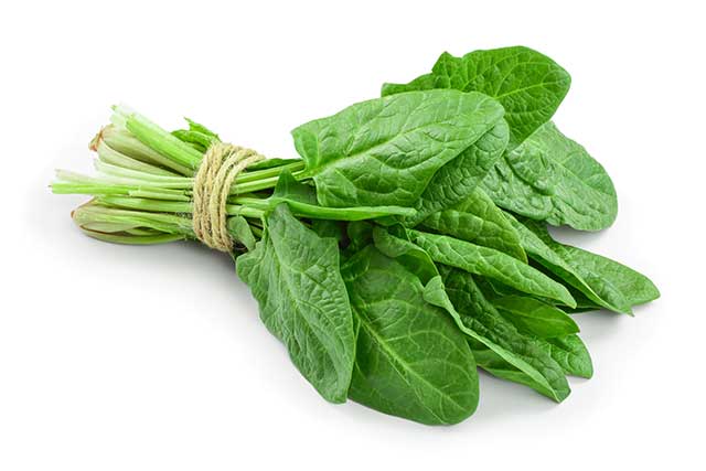 Bundle of Spinach Leaves Held Together By String.