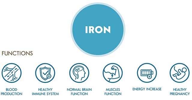 Infographic Showing the Major Functions of Iron.