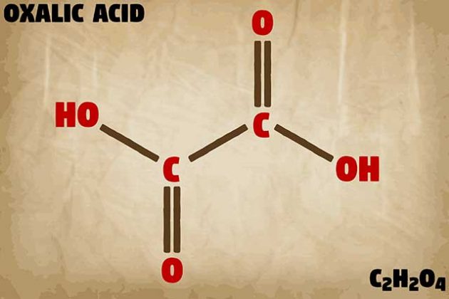 a-list-of-112-foods-high-in-oxalate-oxalic-acid-nutrition-advance