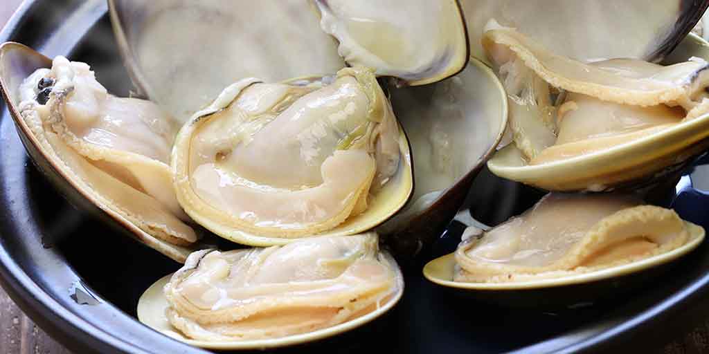 How much does a clam weigh discount
