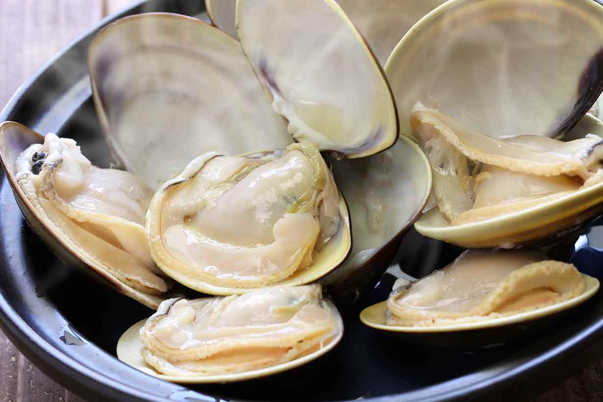 Numerous Open Clams In a Bowl.