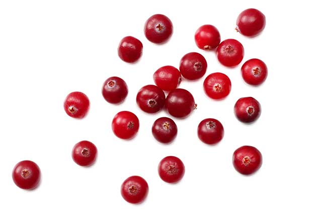 Spaced Out Fresh Cranberries On a White Background.