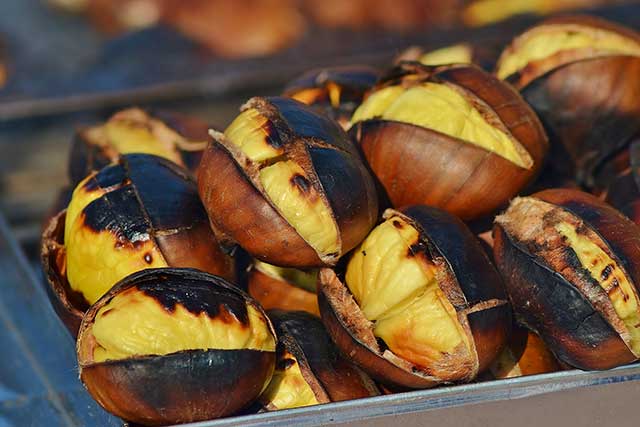 Close-up Photo of Roasted Chestnuts.