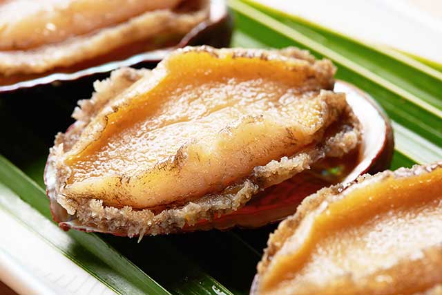 Fresh Abalone Shellfish On a Green Leaf.