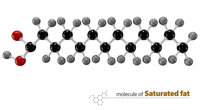 Molecular Structure of Saturated Fat Diagram.