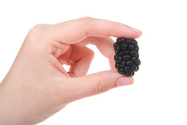 A Hand Holding a Fresh Black Boysenberry.