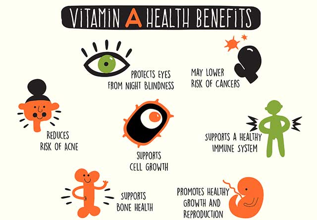 Infographic Showing the Health Benefits of Vitamin A.