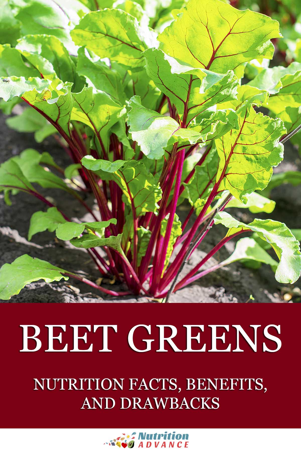 Beet Greens Nutrition Facts Benefits And Concerns Nutrition Advance