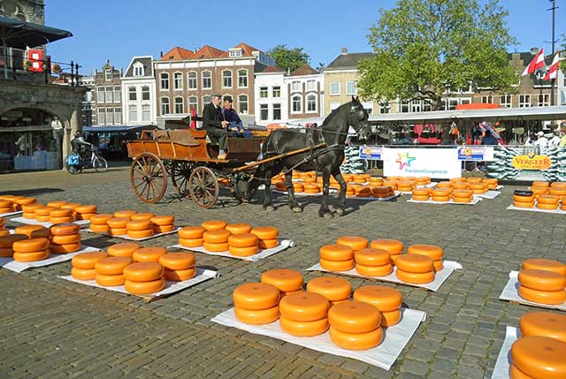 Gouda Cheese Wheels at Gouda Traditional Cheese Market.