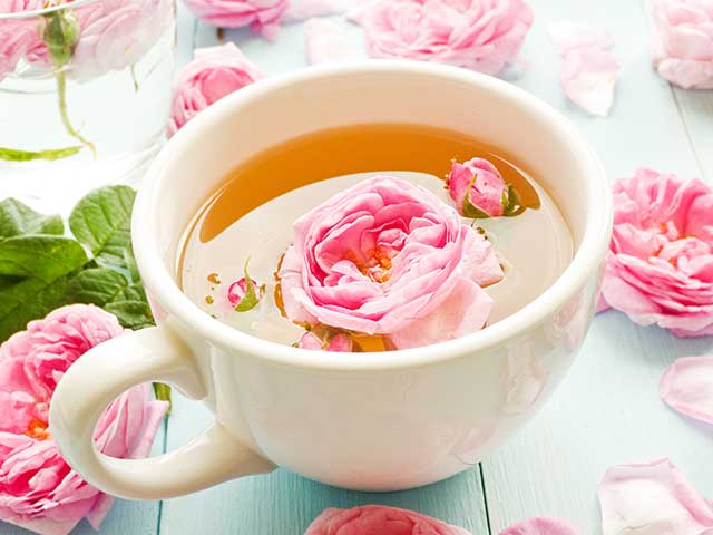 Cup of Rose Tea Containing a Large Flower.