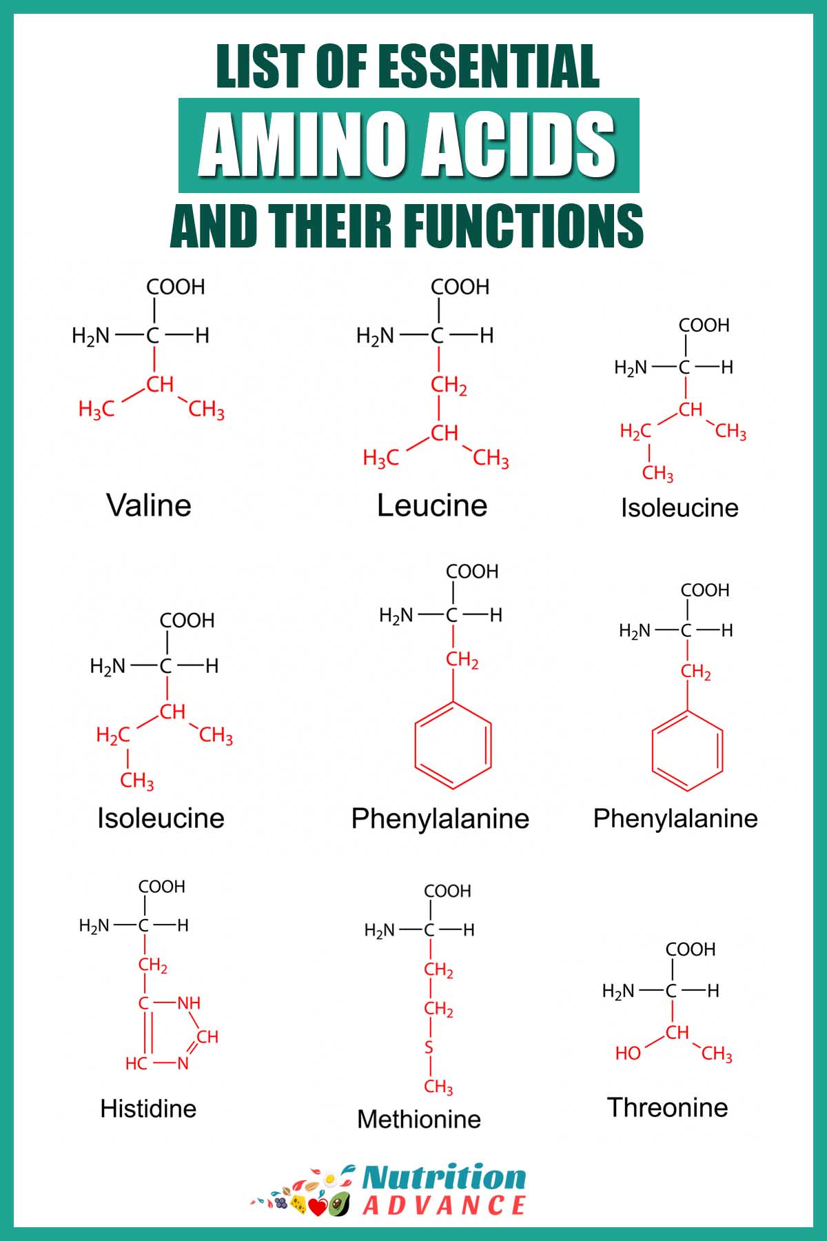 Essential Amino Acids Functions Requirements Food Sources Essential Amino Acids Functions Requirements Food Sources