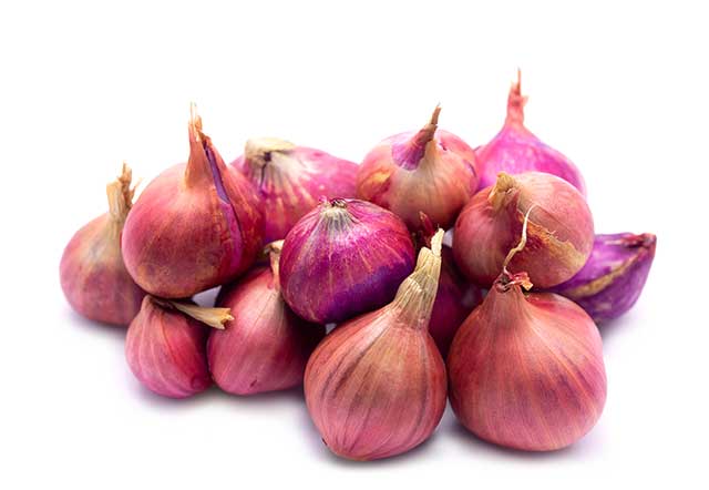 Dozen Red Shallots In a Pile.