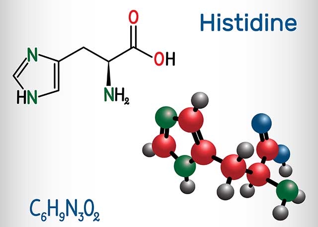 Histidine: Molecular Structure and Chemical Formula.