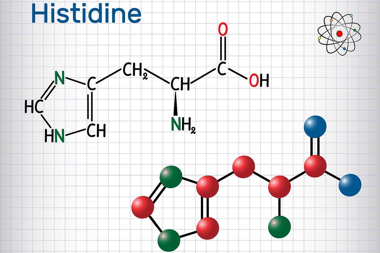 histidine-molecular-structure