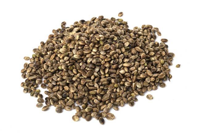 Pile of Hemp Seeds.