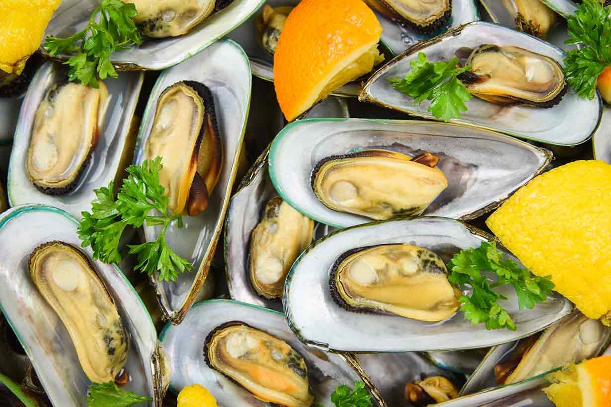 A Plate Full of Mussels With Open Shells.