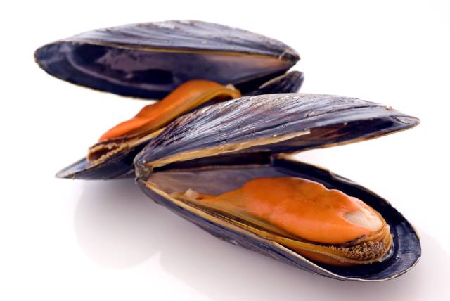 Several Mussels With Open Shells.