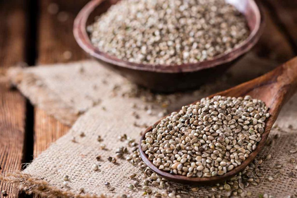 Hemp Seeds On a Wooden Spoon.