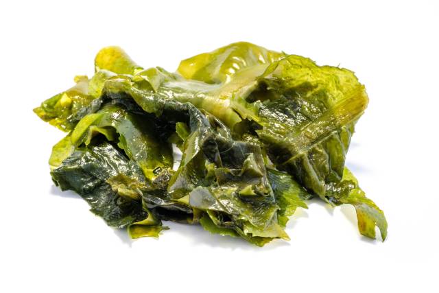 Green Wakame Seaweed.