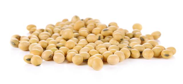 Whole Mature Soybeans In a Pile.
