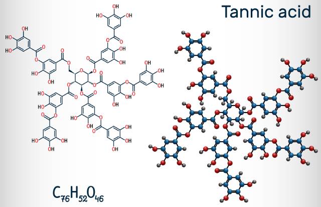 The Chemical Structure of Tannic Acid (Tannins).