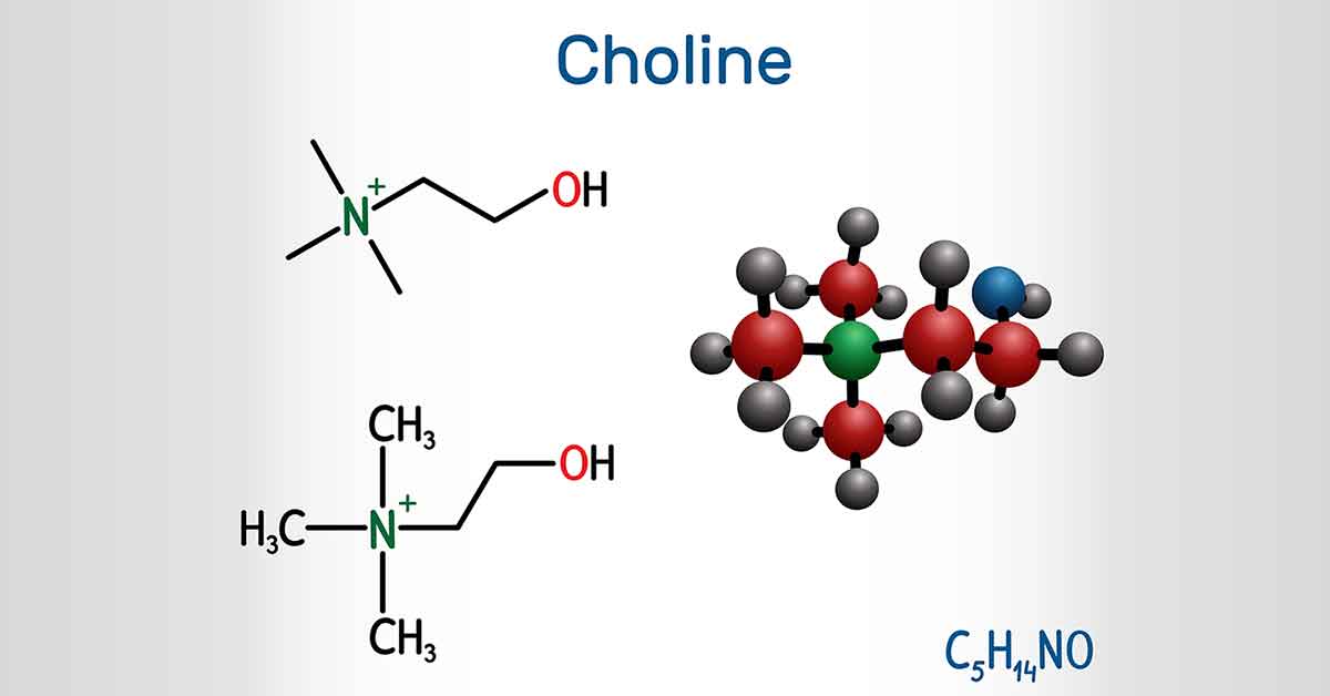 choline-an-essential-nutrient-with-important-benefits-nutrition-advance