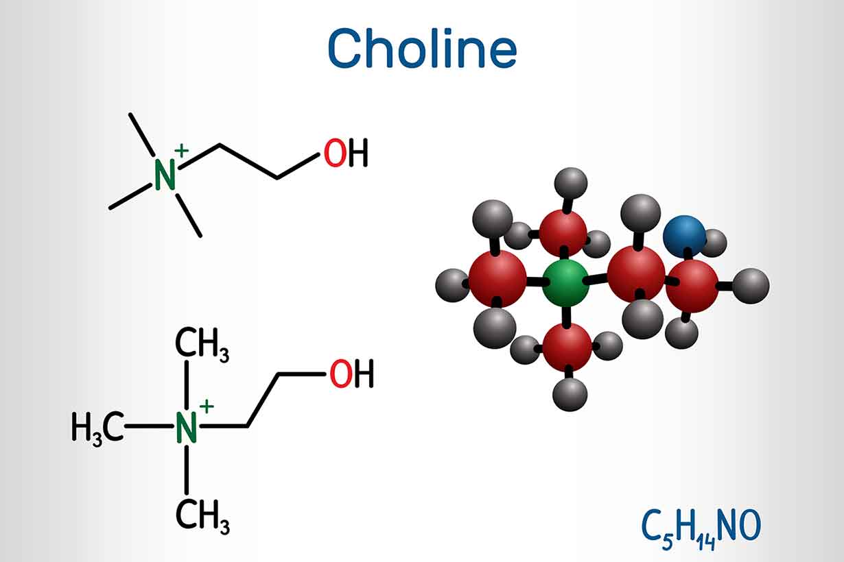 The Chemical Structure and Symbol of Choline.