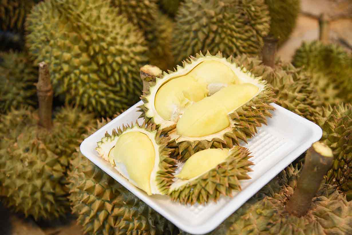 Sliced Open Durian Fruit With Yellow Flesh Showing.