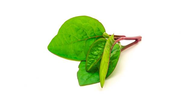 Malabar spinach leaves.