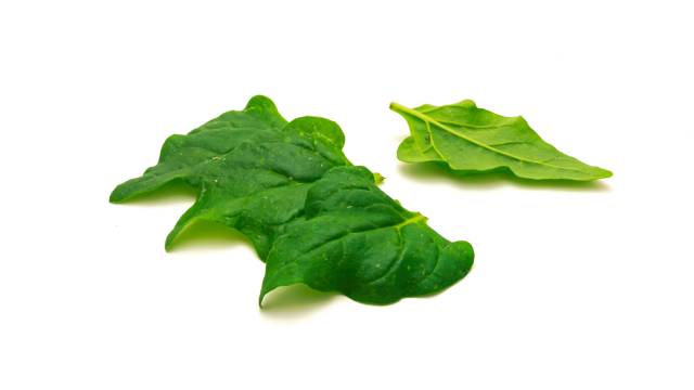 New Zealand spinach leaves.