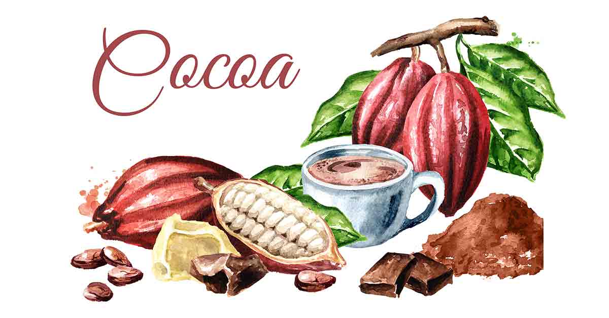 Кофе и шоколад карта