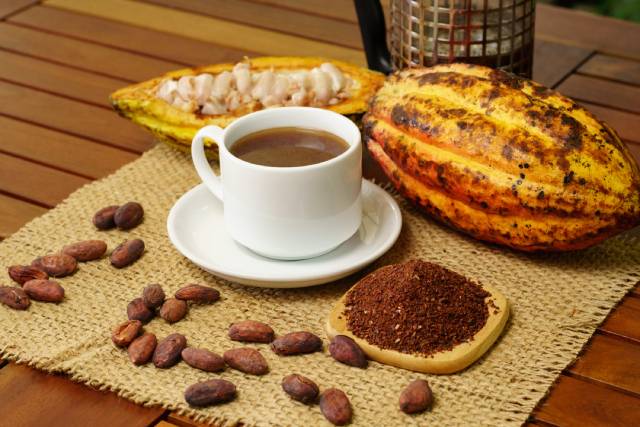 Cup of Brewed Cacao.