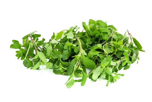 Fresh green purslane leaves.