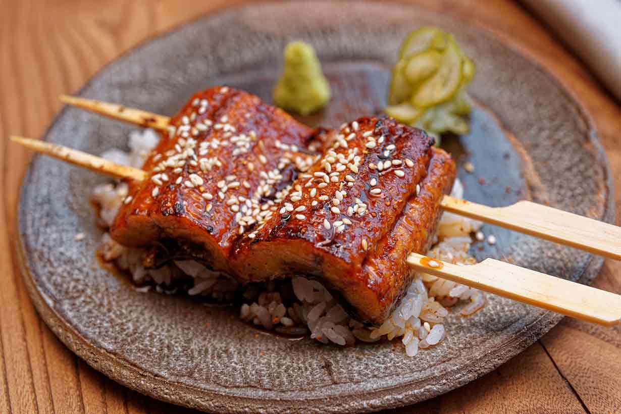 Two Pieces of Marinated Eel on a Bed of Rice.