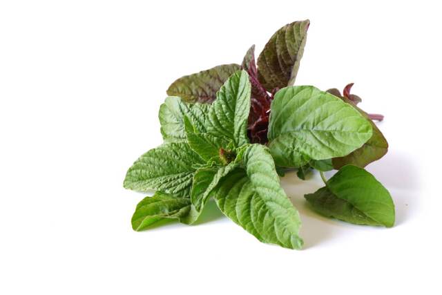 A pile of green amaranth leaves.