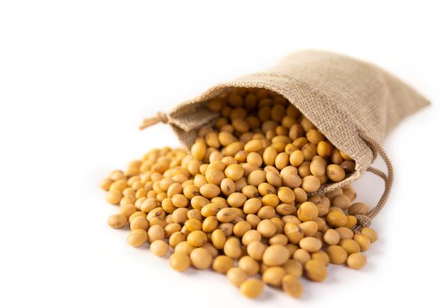 Pile of Raw Soybeans Falling Out of a Bag.